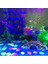 No.1 Tarzı 50 Parça Akvaryum Süs Taşları Işıldayan Koyu Taşlar Bahçe Süsü Için Glow In The Dark Luminous Çakıl Taşları (Yurt Dışından) 5