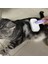 Evcil Hayvan Kendi Kendini Temizleyen Tüy Dökme ve Bakım Fırçası Uzun Kısa Tüylü Köpekler, Kediler Için Geri Çekilebilir Fırça, Mor (Yurt Dışından) 3
