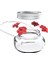 Kuş Yemliği Açık Hava Asılı Kuş Su Yemlikleri Masonjar Çiçek Kuşları Sulama Şişesi Içkilik Yabani Kuş Bahçesi Için (Yurt Dışından) 1