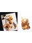 Steamart Beyaz Ankastre Set Buhar Destekli (Gld 017B-GLF 64CB-GLO 206CB) 7