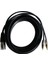 Ses Rca Kablosu 2rca Erkek Xlr 3 Pin Erkek Topu Amplifikatör Karıştırma Fişi Av Kablosu Xlr Çift Rca Kablosu 2 M (Yurt Dışından) 2