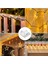 Açık Hava Işık Zincirleri Için Kancalar Klipsler 50 Paket Klipsler Şeffaf Işık Kancası (Yurt Dışından) 5