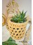 Dekoratif Çok Amaçlı Doğal El Yapımı Hasır Saksı Sepet / 10 x 10 cm 4
