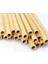 Bambu Pipet 2