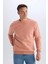 Regular Fit Bisiklet Yaka Kalın Basic Düz Sweatshirt T3777AZ25SP 1