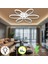 Nipul Modern Plafonyer Tavana Sıfır Beyaz Işık Salon Mutfak Yatak Odası LED Avize 3