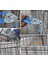 Kelepçe ve Tırnak Stili 2020 Yararlı Yeni Kırmızı Domuz Halka Ağır Hizmet M Çivi Zımba Pense Çit Tel Zımbalayıcı Gabion Örgü Çok (Yurt Dışından) 4