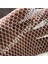 Kuş Ağı – 2 cm Gözenekli Kuş Filesi – 1,5 mm Ip – Beyaz Renk – Balkon Filesi - 10 mt x 14 mt 2
