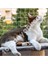 Kedi Filesi – 4 cm – 2.5 mm Ip – Kedi Ağı – Kare Desen - 3 Metre x 6 Metre 2