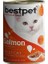 Bestpet Somonlu Jöleli Yetişkin Konserve Kedi Maması 400 gr 1