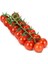Cherry Domates Tohumu Paket 1 Gram 150 Tohum 1