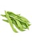 Fasulye Tohumu Peron Safiye Paket 50 Gram 1
