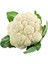 Karnabahar Igloo Tohumu Paket 5 Gram 1
