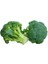 Brokoli Monet Tohumu Paket 5 Gram 1