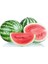 Karpuz Crimson Sweet Ala Karpuz Tohumu Paket 10 Gram 1