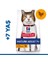 Hills Mature +7 Tavuklu Yaşlı Kedi Maması 1.5 kg 1