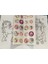 4 Adet Stickerli Boyama Kitabı (Kuromi,minnie,copybara,unicorn Figürlü) 2