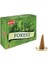 Forest Cones 2