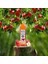 Organik Elma Sirkesi 500 ml 3