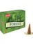 Forest Cones 2
