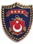 Msb-Msü-Tsk-Jandarma-Genkur-Hvkk Ceket Bröve 5