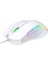 Crossfire V1 12800 Dpi Makro Yazılımlı Chromatic Rgb Gaming Mouse - Beyaz 3