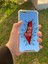 Apple iPhone 6s Plus Uyumlu Aynalı Palestine Desenli Darbe Kamera Korumalı Silikon Telefon Kılıfı 3
