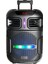 GD-1503 Dijital LED Göstergeli Fm Radyolu Mikrofonlu Rgb Tws 15 İnç Stereo Bass Kablosuz Karaoke 2