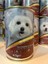 Kuzu Etli Yavru Köpek Konserve Ödül Maması 415GR*15 3