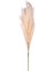 Yapay Bitki Pampas Dal Krem 108 Cm. 1