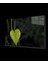 - Yeşil Kalp Yaprak Green Heart Leaf 1