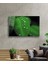 - Su Damlaları Yeşil Yaprak Cam Tablo 2
