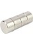Neodyum Mıknatıs Dekoratif Magnet Güçlü Çekim 25 x 10MM 2