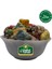 Renkli Çıtır Draje 100 gr 3