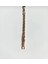 Vip Seri Zirkon Taşlı Rosegold Renk Bileklik 17+2cm 2