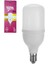 Bizim 20W Torch LED Ampul Beyaz T1 1