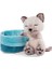 47893 Soft Basket 12 cm - Sleeping Pets Cuddly Toy Siamese Cats For Girls, Boys & Babies - Fluffy Stuffed Cuddle, Play & Sleep With - Cosy Plush Animals, Paws, Beige 3