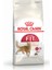Fit 32 Kedi Maması - 4 Kg 2
