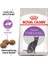 Sterilised 37 Kısırlaştırılmış Kedi Maması - 2 Kg 1