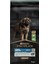 Large Robust Kuzu Etli Köpek Maması 14 Kg 2