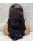 Gerçek Front Lace Tül Peruk - Dalgalı - Doğal 65-70CM 4