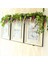 Adet 7ft / Adet Yapay Wisteria Vine, Çiçek Çelenk Wisteria Vine Rattan Açık Töreni Için Asılı Çiçekler, Beyaz (Yurt Dışından) 2