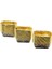 20 Pcs Gold - Folyolu Dikdörtgen - Kalın Muffin Kağıt Kek Kapsülü (3791) 1
