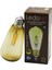 Ledolet ST-064 4W - E27 Rustik Ampul 400LUMEN (3791) 1
