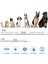 Turuncu 38CM Torbalı Stil 8 Ay Koruma Süresi Kedi Köpek Parazit Önleyici Böcek Kovucu Geri Çekilebilir Pet Ürünleri (Yurt Dışından) 5