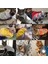 No.15 Tarzı S Beden Kediler Için Sonbahar Kış Sıcak Kedi Kıyafetleri Sphynx Yumuşak Polar Yavru Kedi Ceket Montlar Sevimli Karikatür Kedi Kostümleri Evcil Hayvanlar Giysileri (Yurt Dışından) 3
