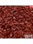 Kahve Kahverengi Tarzı M Beden Kediler Için Yumuşak Tırnak Kapakları + 3x Yapıştırıcı Tutkal + 3x Uygulayıcı * Xs, S, M, L, Kapak, Kedi, Zpo * (Yurt Dışından) 1
