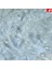 Stili Temizle S Beden Kediler Için Yumuşak Tırnak Kapakları + 3x Yapıştırıcı Tutkal + 3x Uygulayıcı * Xs, S, M, L, Kapak, Kedi, Zpo * (Yurt Dışından) 1