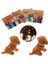 M-10X300MM Stili Et Çok Renkli Tanımlama Kimlik Yaka Yavruları Kedi Köpek Kedi Kadife Pratik Naylon Yeniden Kullanılabilir Yavru Kimlik Yaka Pet Malzemeleri (Yurt Dışından) 4