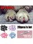Gümüş Tarzı Xs Beden Yeni Moda Renkli Kedi Tırnak Kapakları, Yumuşak Kedi Pençe Yumuşak Pawlot Ücretsiz Yapışkan Yapıştırıcı ile Boyut Xs S M L Hediye Için Evcil Hayvan (Yurt Dışından) 5
